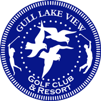 Gull Lake View Logo